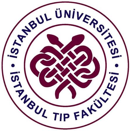 istanbul logo