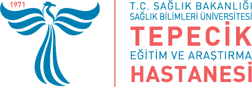 tepecik logo